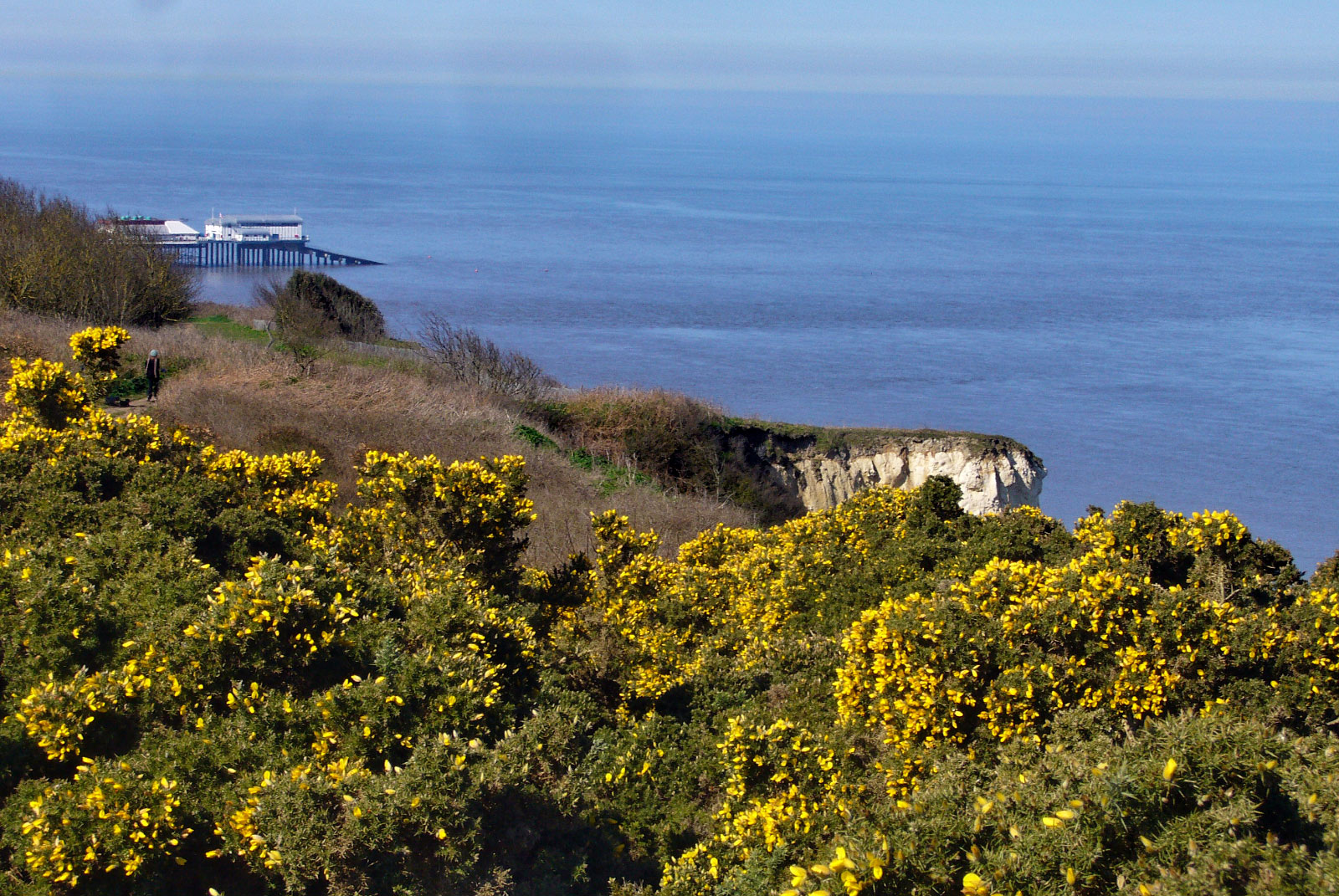 Cromer